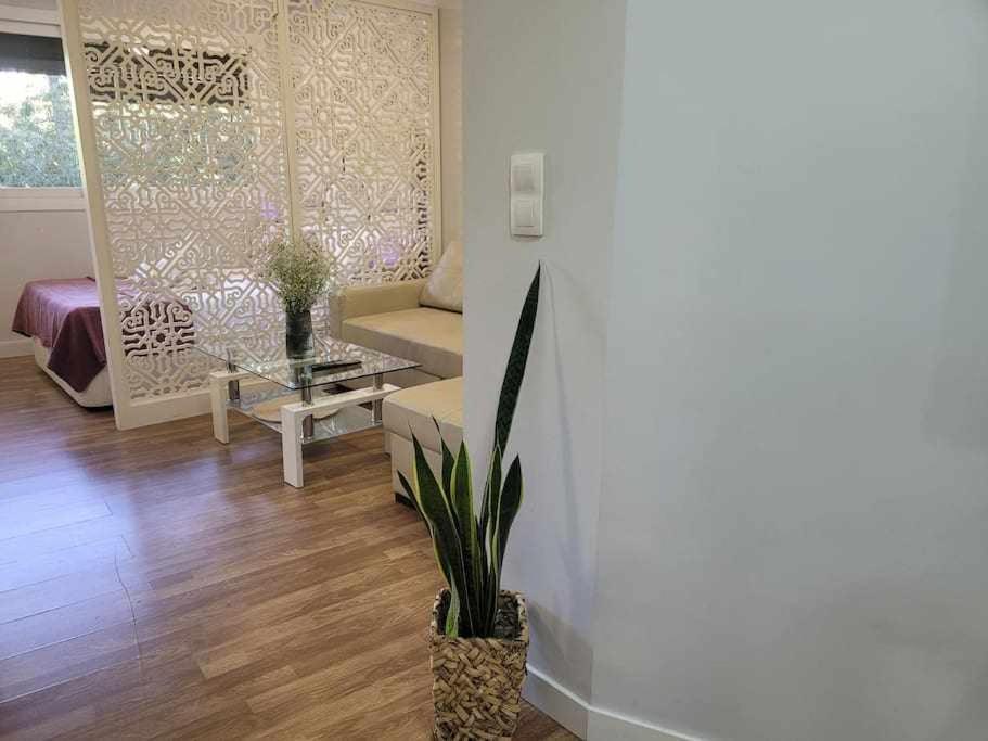 Apartamento Lirio De Agua Granada Centro Apartment Exterior photo
